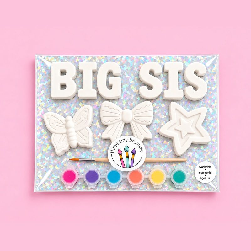 Big Sis paint kit